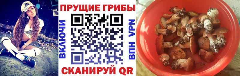 Псилоцибиновые грибы GOLDEN TEACHER  дарнет шоп  Невельск 